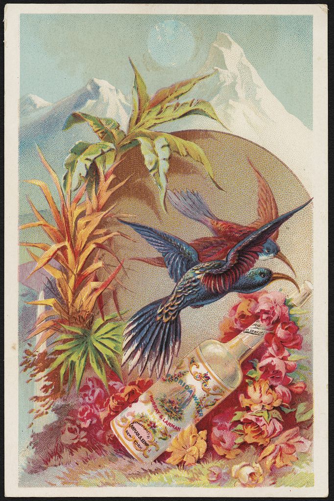 Agua Florida - Lanman & Murray 59 ml