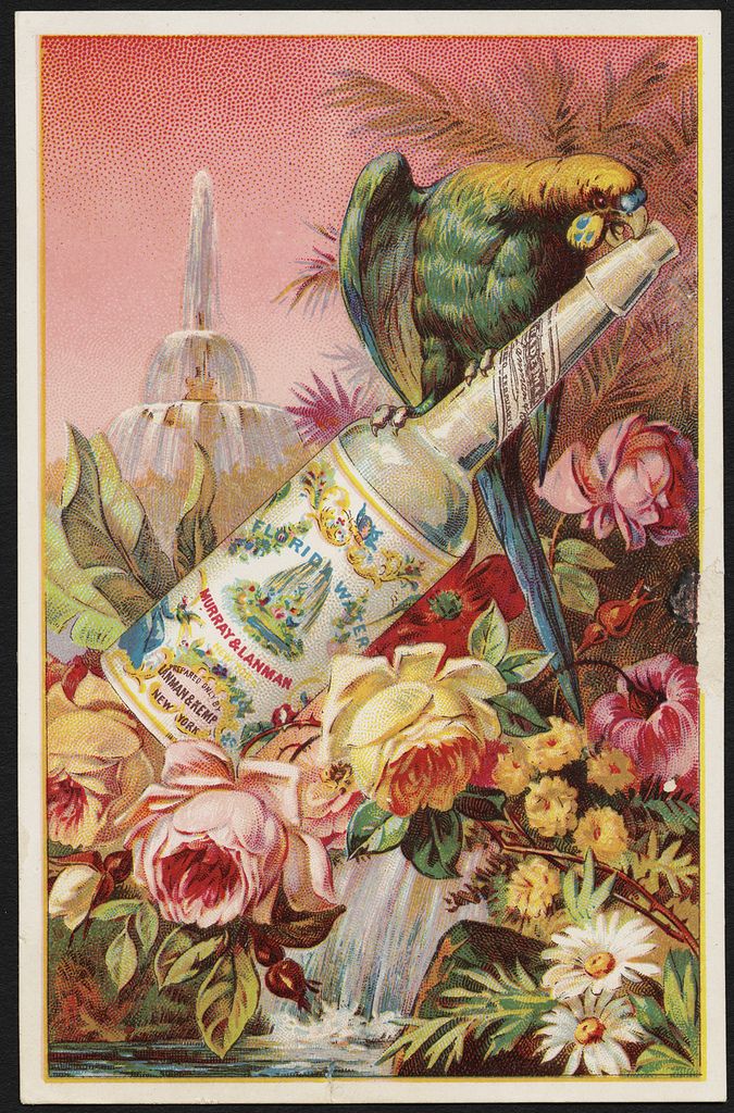 Colonia de Palo Santo 100% Natural - Lanman & Murray 221 ml