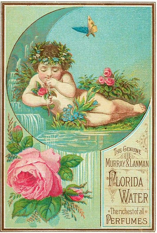 Colonia de Rosas - Queen Of Flowers - Lanman & Murray 221 ml