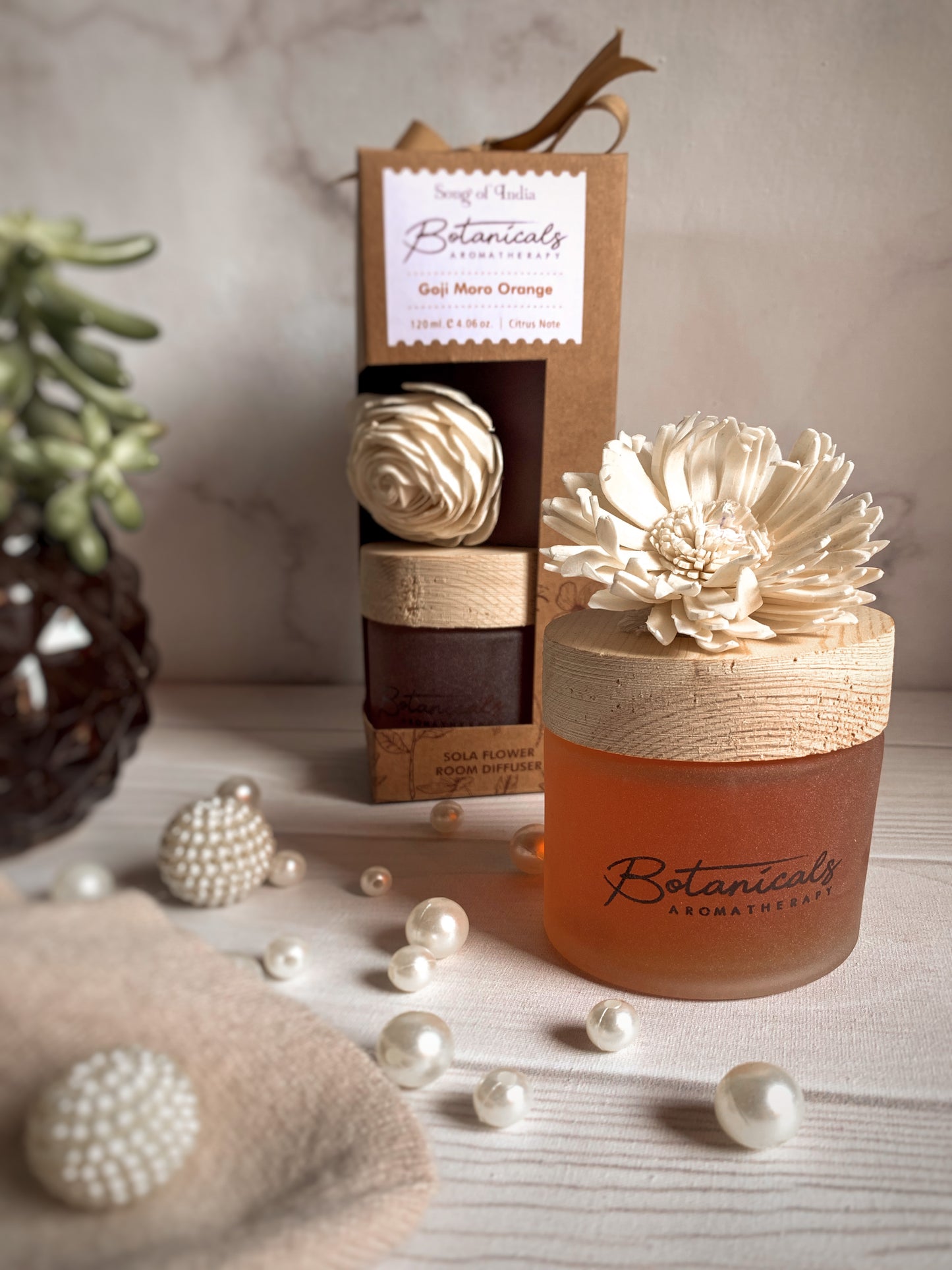 Difusor con Flor Seca | Colección Botánica