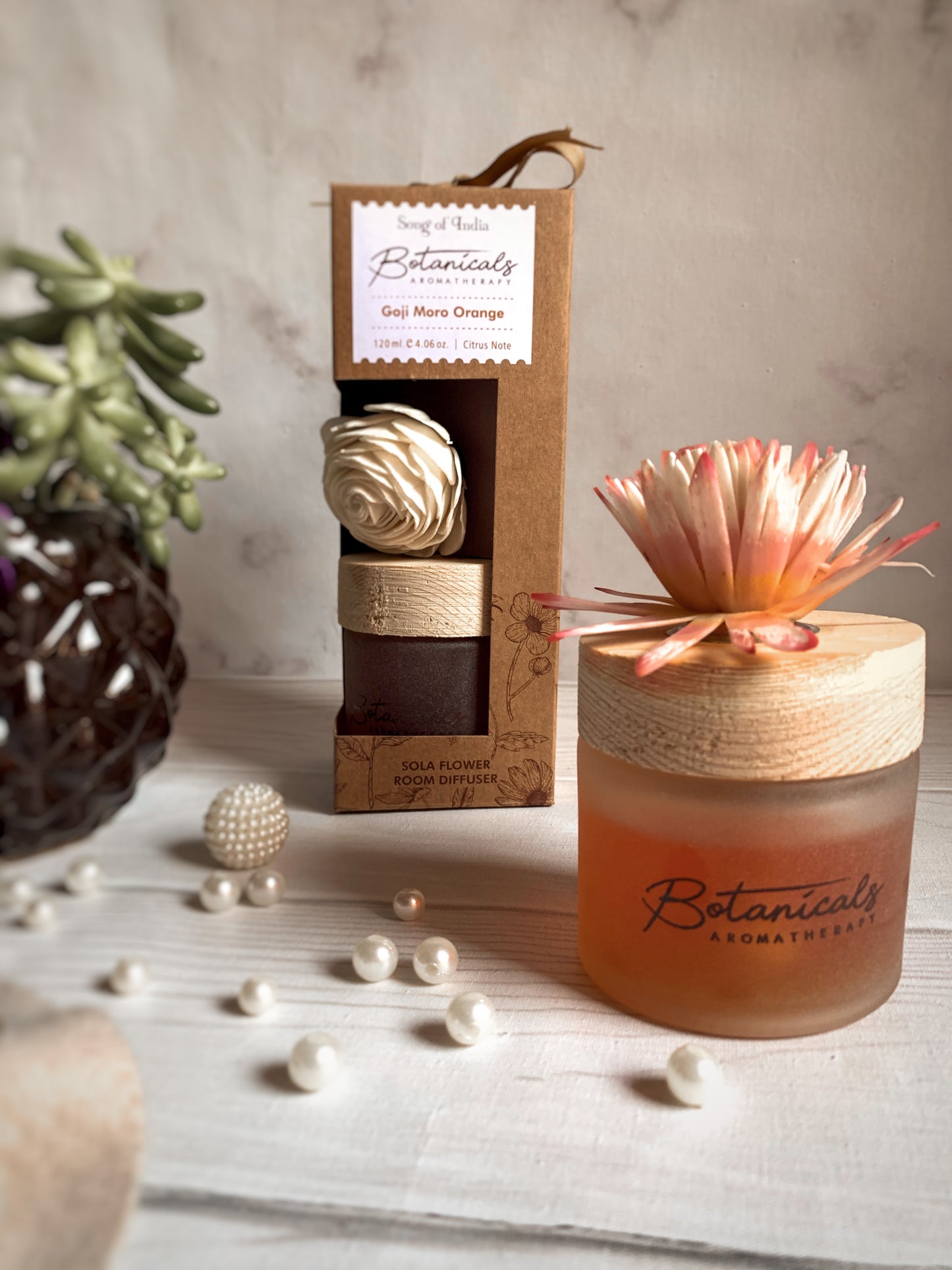 Difusor con Flor Seca | Colección Botánica