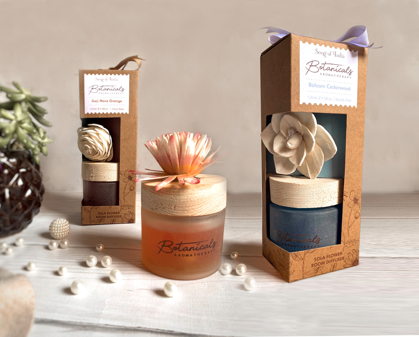 Difusor con Flor Seca | Colección Botánica